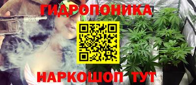 шишки Моздок